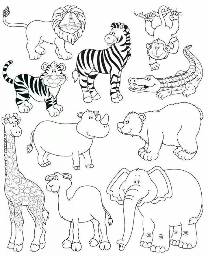 Image galerie 3 - Rouleau de papier à colorier pour enfants